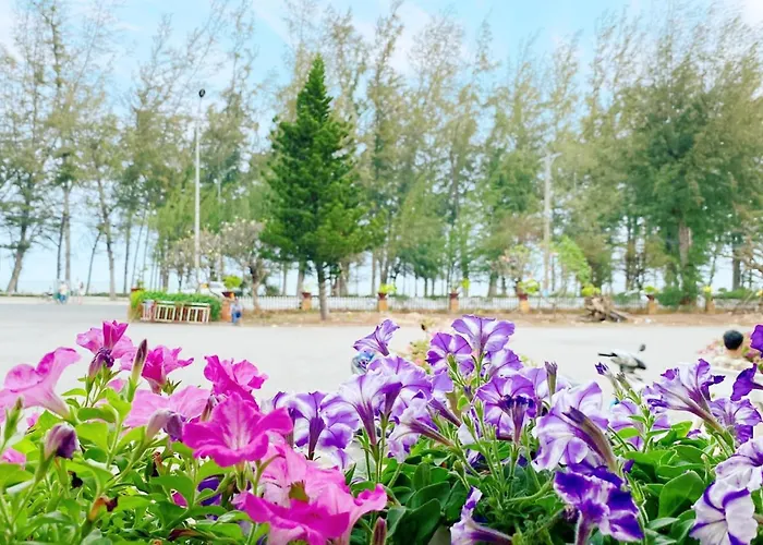 Отель Khach San Binh Minh